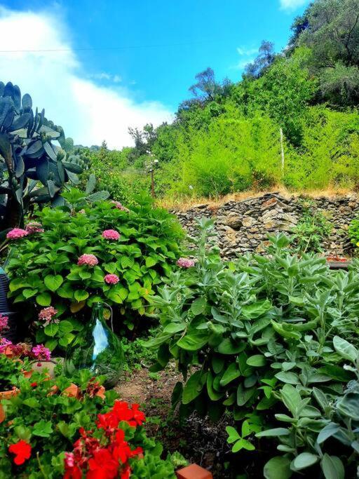 Il Limoneto Dei Cinque Sensi,Apartment With Garden Vernazza Zewnętrze zdjęcie