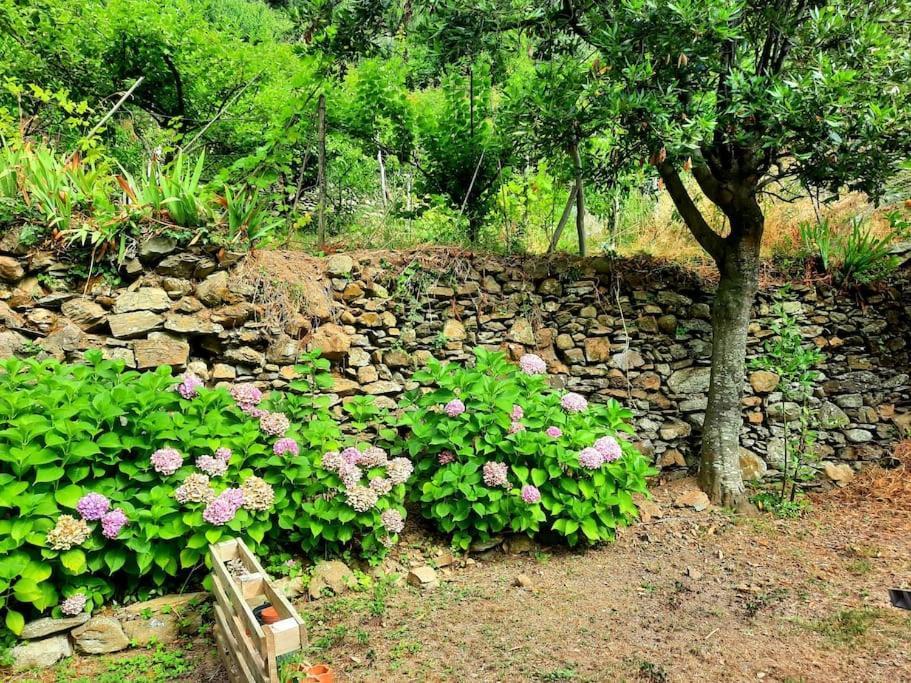 Il Limoneto Dei Cinque Sensi,Apartment With Garden Vernazza Zewnętrze zdjęcie