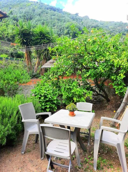 Il Limoneto Dei Cinque Sensi,Apartment With Garden Vernazza Zewnętrze zdjęcie