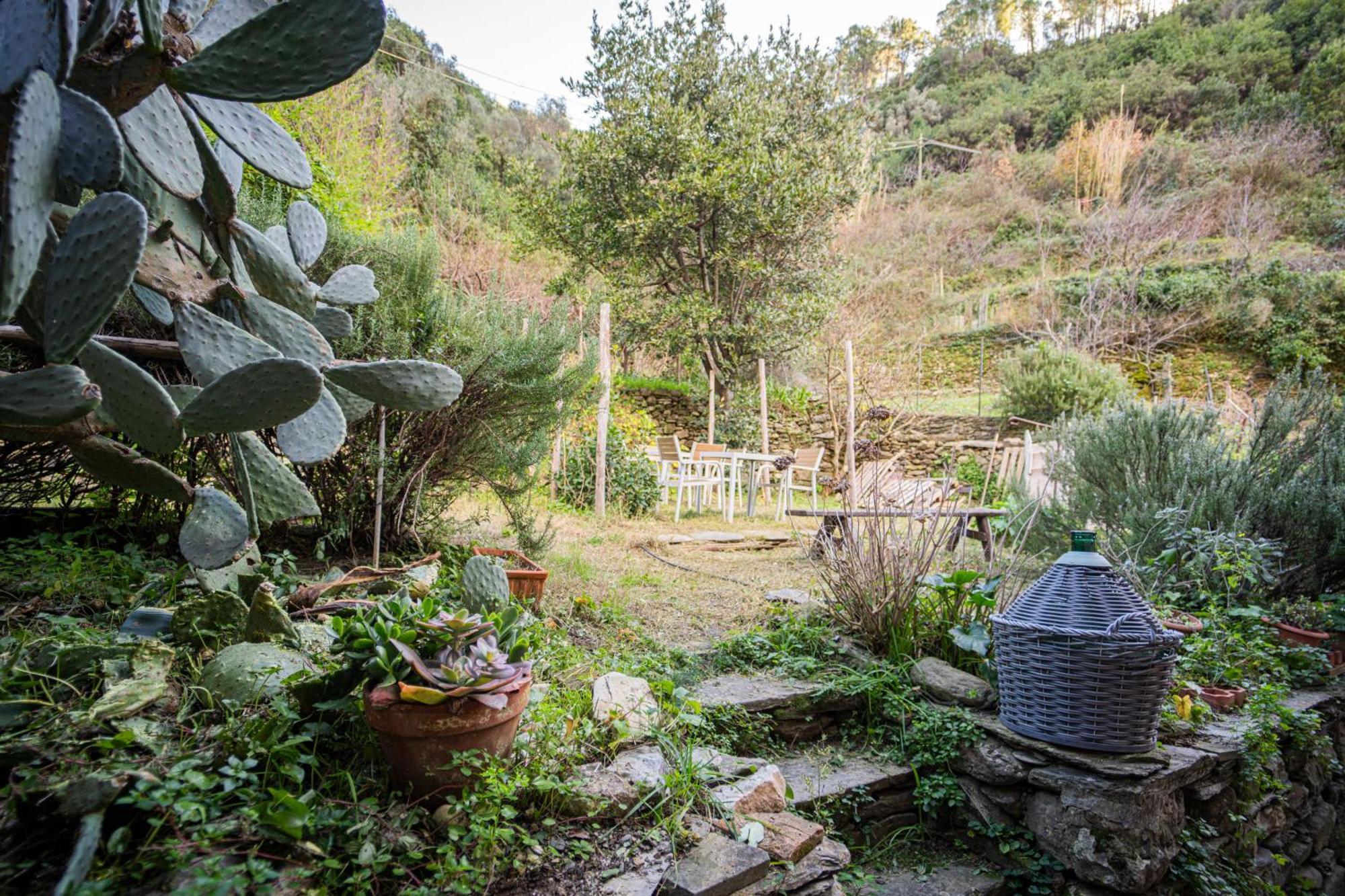 Il Limoneto Dei Cinque Sensi,Apartment With Garden Vernazza Zewnętrze zdjęcie